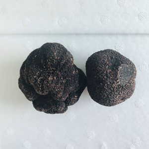 Detan-seta de trufa negra salvaje fresca, gran textura, disponible en diferentes tamaños, nueva temporada, 2020 - Product Image 3