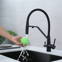 Robinet de cuisine moderne en acier inoxydable avec filtre à eau pour hôtels et hôpitaux, double poignée chaud/froid, cartouche céramique, pour une eau pure