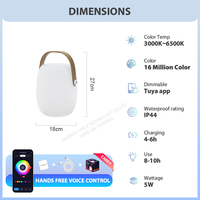 Enceintes musicales portables intelligentes avec lampe LED à intensité variable, design moderne, contrôle par application, éclairage musical sans fil