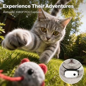 Caméra pour animaux de compagnie, best-seller, 1080P, montée sur collier pour chiens et chats, enregistrement de vlog, caméra de collier pour animaux - Product Image 3