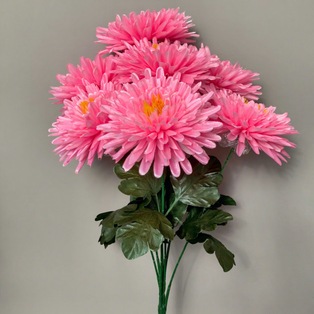 Rose - chrysanthème à aiguilles