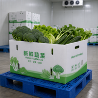 Boîte alimentaire avec couvercle pour fruits (fraises, cerises, raisins) – Réfrigérée, empilable, réutilisable, pour expédition et découpe