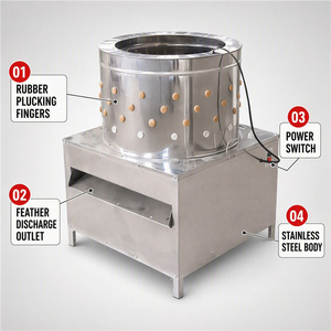 Máquina Desplumadora de Aves de Corral Automática Tipo 65, Equipo para Desplumar Pollos, Patos y Pavos - Product Image 3