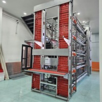 Nouveau système de collecte d'œufs automatique multifonctionnel pour poules pondeuses, cage à poulets de 96 à 160 couches, pour élevage avicole