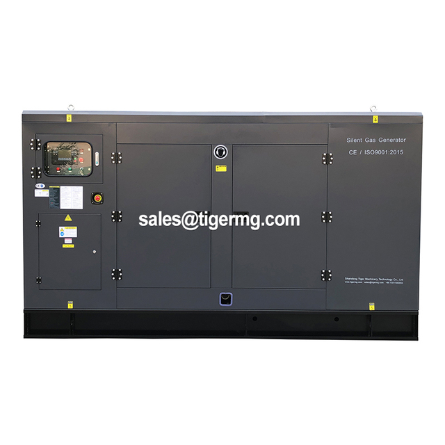 20kw 20kva 100kw 300kw 500kw 1000kw 2000kw 3000kw Silent Chp Natural Gas 48v Dc Generators