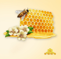 Produits sûrs pour la mauvaise haleine pâtes dentaires 100% gel de fruits naturels dentifrice au miel pour bébés