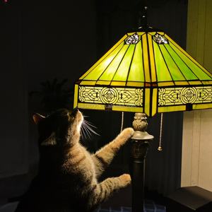Lampe sur pied Tiffany en verre européen de 16 pouces avec LED pour salle à manger, chambre à coucher, chambre d'enfant, ampoule E27, lumière à économie d'énergie - Product Image 3
