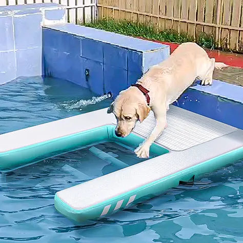 Grote Waterhelling Hond Opblaasbare Pup Plank Hond Dock Zwembad Drijvende Boot Met Ladder