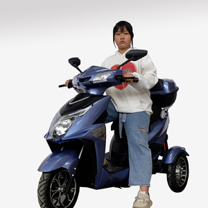 Motocicleta Eléctrica de 3 Ruedas, Bicicleta Eléctrica Vintage de Tres Ruedas para Dos Personas - Product Image 1