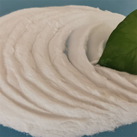 Bicarbonate de soude 99% de marque Xue Hua, poudre blanche, pour la pâtisserie
