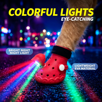 Chaussures pour chien en EVA lumineuses à LED, antidérapantes, respirantes, imperméables, réglables, protège-pattes pour la marche en extérieur