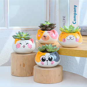 Pot de plantes fleurs Cactus en céramique, Design personnalisé de haute qualité, bon marché pour la décoration de <span class=keywords><strong>jardin</strong></span> - Product Image 2