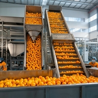 Ligne complète de traitement du jus d'orange et d'agrumes, lave-fruits automatique, extracteur de jus, stérilisation UHT, remplissage, projet clé en main