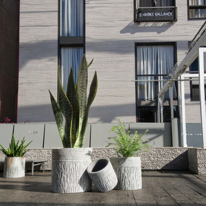 Modern goffrato home office decor contenitori per piante succulente vasi da fiori rotondi <span class=keywords><strong>in</strong></span> <span class=keywords><strong>cemento</strong></span> vasi per piante da interno - Product Image 4