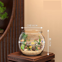 Réservoir de bol de tortue de poisson rond en plastique écologique accessoire d'aquarium de décoration de maison pour l'utilisation d'aquarium