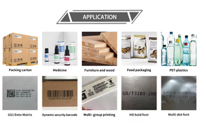 T210ES1 stampante a getto d'inchiostro <span class=keywords><strong>Ricoh</strong></span> automatica professionale con pannello a sfioramento per carta e data di scadenza di stampa - Product Image 6