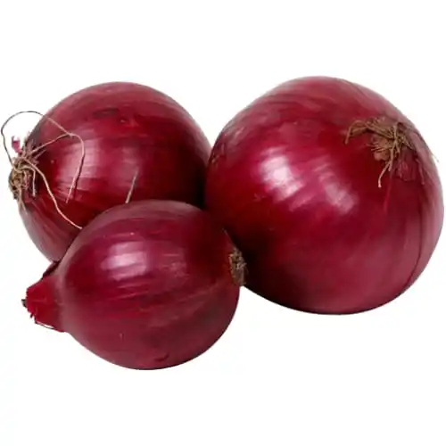 High Quality Cheap Fresh Onion Prices In India
