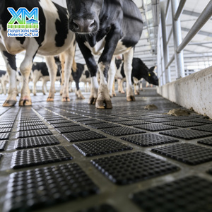 Rouleau <span class=keywords><strong>de</strong></span> revêtement <span class=keywords><strong>de</strong></span> <span class=keywords><strong>sol</strong></span> en caoutchouc personnalisé <span class=keywords><strong>pour</strong></span> étable laitière, durable, antidérapant, imperméable, <span class=keywords><strong>pour</strong></span> allées <span class=keywords><strong>de</strong></span> traite et fermes d'élevage - Product Image 1