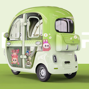 Triciclo Elettrico Personalizzato con Cabina Chiusa, Mini Scooter a <span class=keywords><strong>3</strong></span> <span class=keywords><strong>Ruote</strong></span>, Motore Differenziale 600W, Batteria al Litio, Design Carino per Donne - Product Image 6