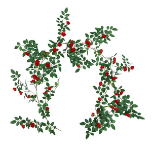 Guirlande de roses artificielles en soie plastique, couleurs orange, rouge, rose, blanc, pour décoration de mariage, maison, balcon et plafond - Product Image 5