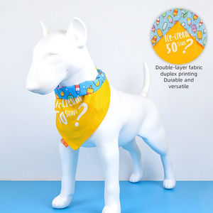 Anpassbares Haustierhalsband-Leinen-Set mit hängendem Reisetaschen-Mülls ack Spender Drool-Stoff-Zubehörst reifen OEM Service Bulk - Product Image 4