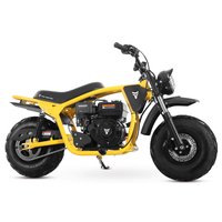 Tao Motor 2025 Nouveau Design Power Sport Moto 200cc à Essence Minibike Dirt Bike Mini Moto 200cc
