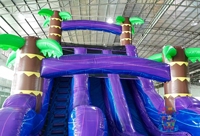 Toboggan aquatique gonflable de qualité commerciale Tropical Waves avec certification CE, capacité de 500 à 1000 kg, installation facile