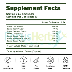 FocusHerb Complexe d'organes de bœuf naturels de haute qualité en capsules, nourris à l'herbe : Foie, Cœur, Pancréas, Reins, Poumon, Rate, Moelle osseuse - Product Image 5