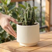 Pot de fleurs en céramique émaillée rond minimaliste avec rayures verticales, écologique, pour plantes en pot, logo personnalisable