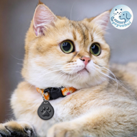 Étiquette d'identification pour animaux de compagnie en silicone souple NFC, code QR, étiquette intelligente avec nom d'animal, anti-perte, pour collier de chien ou de chat, avec profil d'animal en ligne gratuit