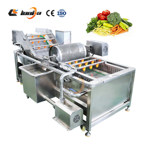 Máquina Industrial de Lavado de Vegetales con Burbujas de Aire y Ozono, Limpiador de Tomates, Zanahorias, Repollo, Manzanas y Mangos - Product Image 4