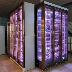 Refrigerador de adega com iluminação LED flash moderna para vinho e licor, acrílico retroiluminado personalizado, com design personalizado para armazenamento de vinhos