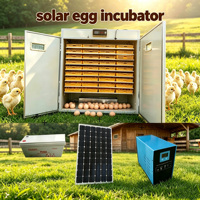 Incubateur 3000 œufs HJ-SI3168 à énergie solaire et électrique pour l'éclosion des œufs de poulet et de caille