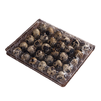 CHUAN HE 12 Cellules PVC Caille Oeuf Plateau 12 Trous PET Blister Processus Cartons D'oeufs pour Sushi Fruits Riz Maïs Alimentation Emballage Alimentaire