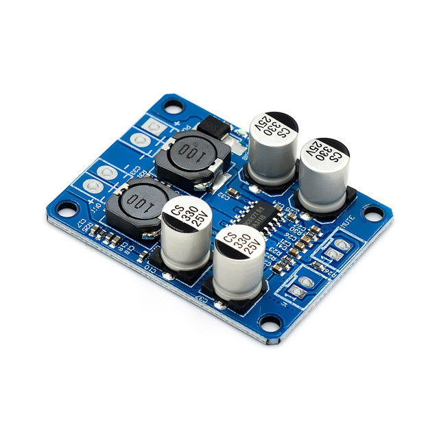 TPA3118 60 W Mono Digital Audio Power Amplifier Circuit Board Module 12 V-24 V Electronic Components