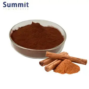 Hot Sale 4:1 Cinnamomum Cassia Extract Powder Cinnamon Bark Extract Powder