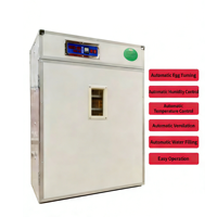 Incubateur d'œufs intelligent entièrement automatique de 528 œufs, 220V, en alliage, pour l'éclosion de poulets, canards, oies et cailles