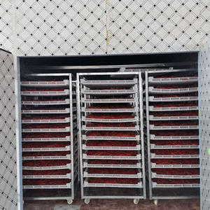 Système de séchage du bois chauffage à la vapeur four à bois four à bois four à tunnel à bois <span class=keywords><strong>pompe</strong></span> à <span class=keywords><strong>chaleur</strong></span> <span class=keywords><strong>pompe</strong></span> à moteur solaire fournie 300 - Product Image 3