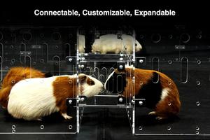 Étagères d'exposition extensibles en lucite, cage en acrylique DIY de grande taille 4x2 pieds pour habitat des cochons d'Inde - Product Image 4