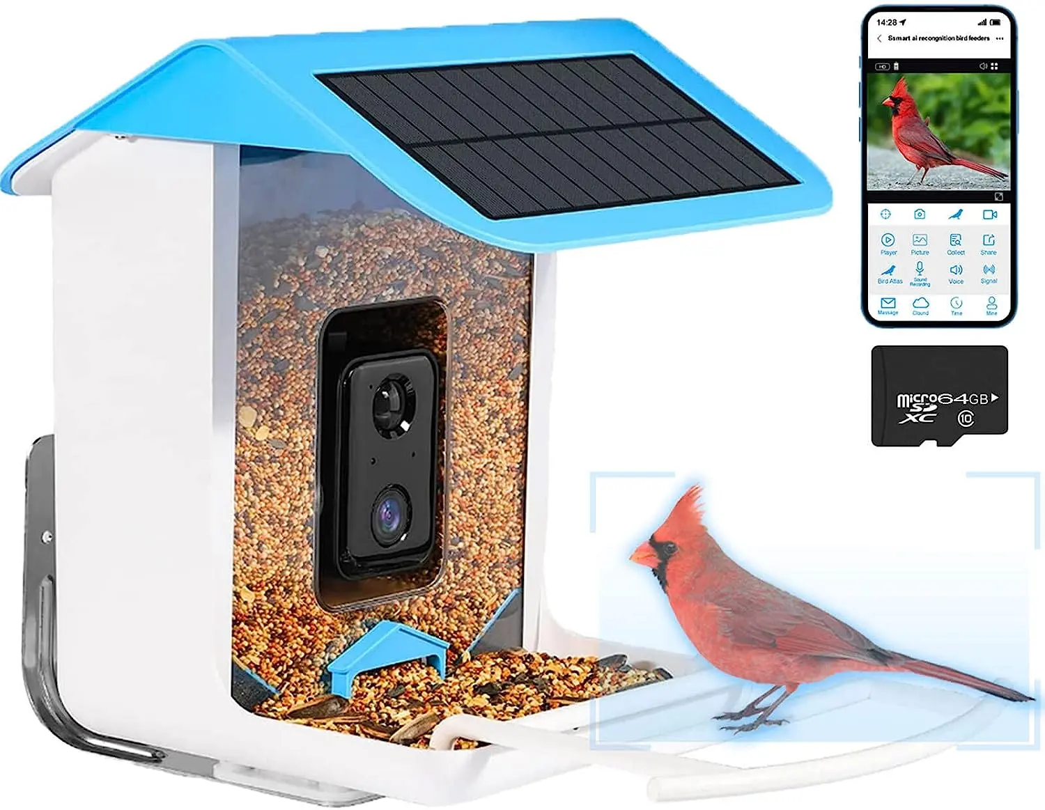 Infrared Light Squirrel-proof Food and Drinker Humming Bird Feeder with Camera Petdom Automatically Take Video 940nm Plastic TT