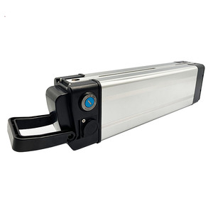 Batteria E-Bike TNLi TEC 24V 13Ah Phylion XH259-10J – Pedelec Compatibile Con Molte Marche