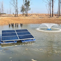 Pompe d'Alimentation en Eau Solaire de Surface 1,5 kW CC 48 V pour Fontaine Aérateur