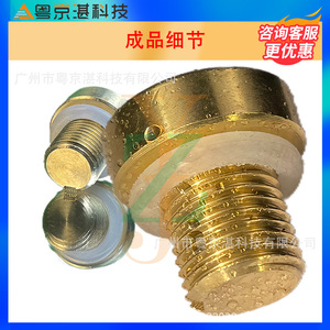Copper Water <b>Plug</b> LR034624 For Land Rover Range Rover Sport Radiator Cap <b>Replacement</b> Part Brass Material - Product Image 4