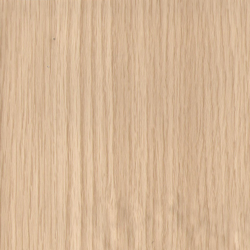 WM541