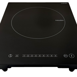 Cocina de Inducción Eléctrica de 12v con una Sola Placa, Funciona con Batería - Product Image 1