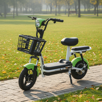 Vélo électrique urbain Little Prince pour adultes, cadre en acier haute teneur en carbone de 14 pouces, moteur à moyeu arrière, batterie au plomb-acide 48V, 2 personnes, 35-45 km d'autonomie