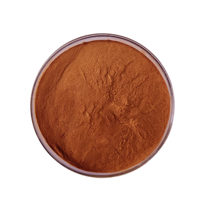 Naturel 95% OPC Procyanidins B2 Poudre Extrait <span class=keywords><strong>De</strong></span> Pépins <span class=keywords><strong>De</strong></span> Raisin Fruit Pur <span class=keywords><strong>De</strong></span> Qualité Alimentaire dans Un Sac En Aluminium - Product Image 4