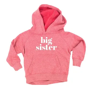 autumn winter toddler kids girls long sleeve plain hoodies sweatshirts BIG SISTER girl letter print pullover cute hoodies