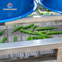 Lucht Droger voor Groenteverwerkingslijn Fruitwas- en Droogmachine RVS Gaasbandtransportband Voedingsmiddelenfabriek