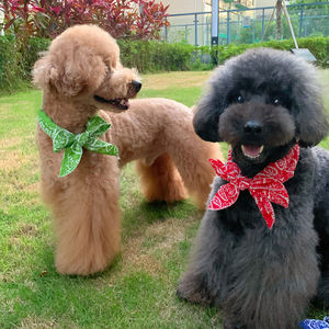 قابلة لإعادة الاستخدام متعددة الوظائف الصيف الجليد كول الحيوانات الأليفة وشاح لحظة التبريد الكلب الرقبة التفاف المألوف القط طوق باندانا التبريد وشاح // - Product Image 6